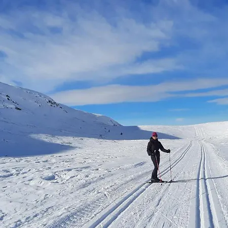 Holiday home Panoramautsikt I Valdres Perfekt For Og Fjellturer Aret Rundt
