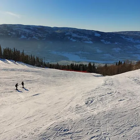 Panoramautsikt I Valdres Perfekt For Og Fjellturer Aret Rundt Aurdal