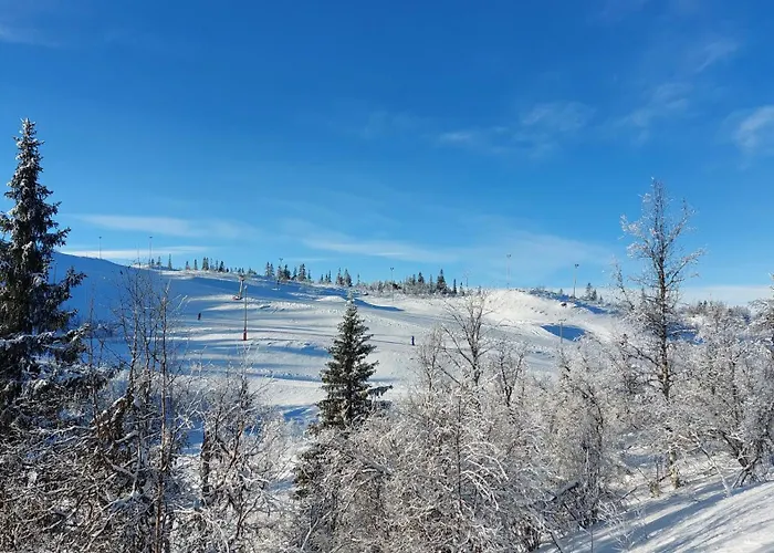 Feriehus Panoramautsikt I Valdres Perfekt For Og Fjellturer Aret Rundt Aurdal