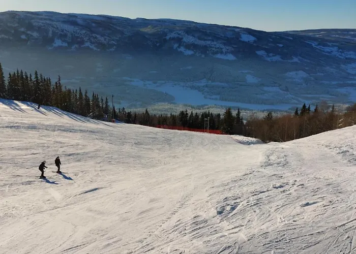 Panoramautsikt I Valdres Perfekt For Og Fjellturer Aret Rundt Aurdal