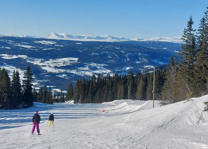 Panoramautsikt I Valdres Perfekt For Og Fjellturer Aret Rundt Feriehus