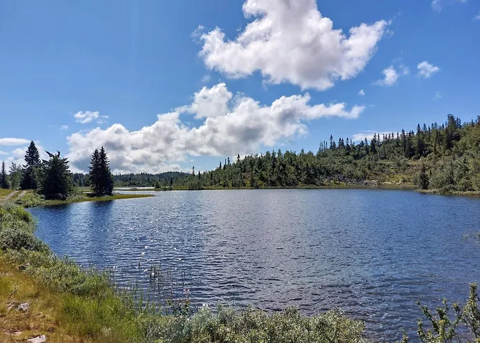 Feriehus Panoramautsikt I Valdres Perfekt For Og Fjellturer Aret Rundt Aurdal