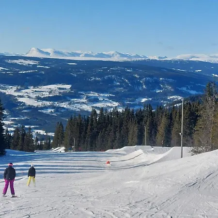 Panoramautsikt I Valdres Perfekt For Og Fjellturer Aret Rundt Vakantiehuis